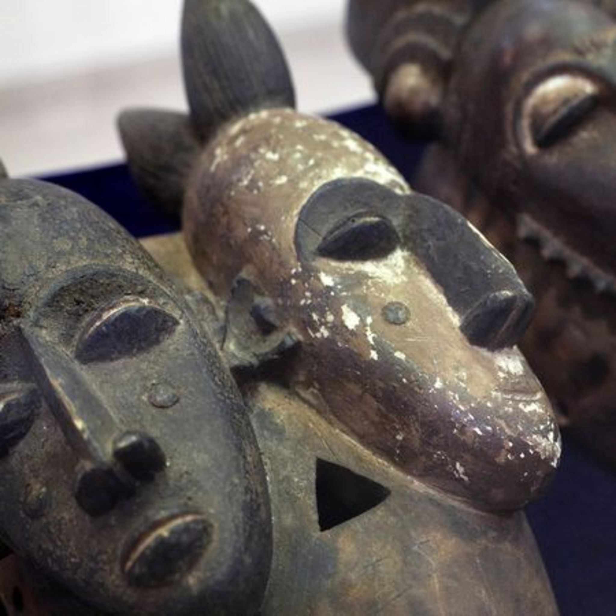 Выставка африканской культуры. Коллекционер редко