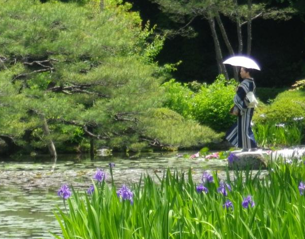 Встреча «Японский сад после 1868 года: в поисках нового языка»